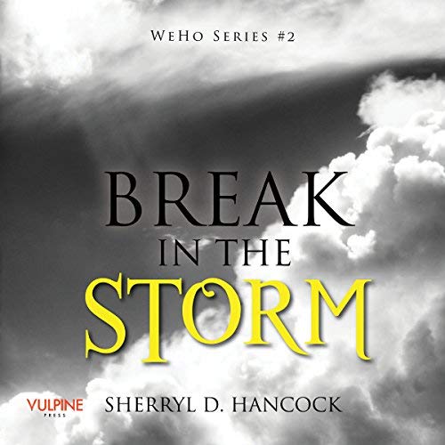 Break in the Storm by Sherryl D Hancock