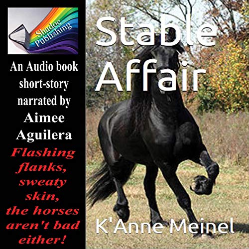 Stable Affair by K'Anne Meinel
